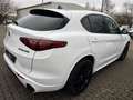 Alfa Romeo Stelvio Veloce Q4 Panorama+Leder+LED+ACC Weiß - thumbnail 7