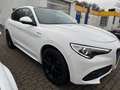 Alfa Romeo Stelvio Veloce Q4 Panorama+Leder+LED+ACC Weiß - thumbnail 3