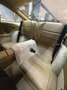 Porsche 911 ASI -TETTO-INTERNO BISCOTTO-FATTURE PORSCHEE - thumbnail 8