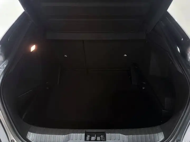 Renault Arkana 2022, foto 22