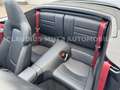 Porsche 992 .2 Cabrio °SPORTABGAS ° BOSE ° KEYLESS ° 360° Weiß - thumbnail 12
