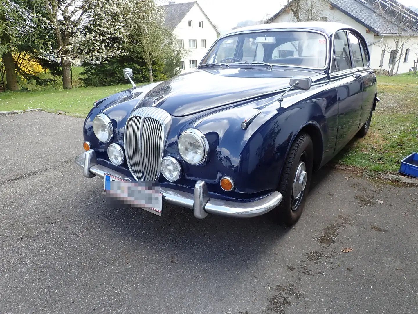 Jaguar Daimler 250 V8 / Serie 2 Blau - 2