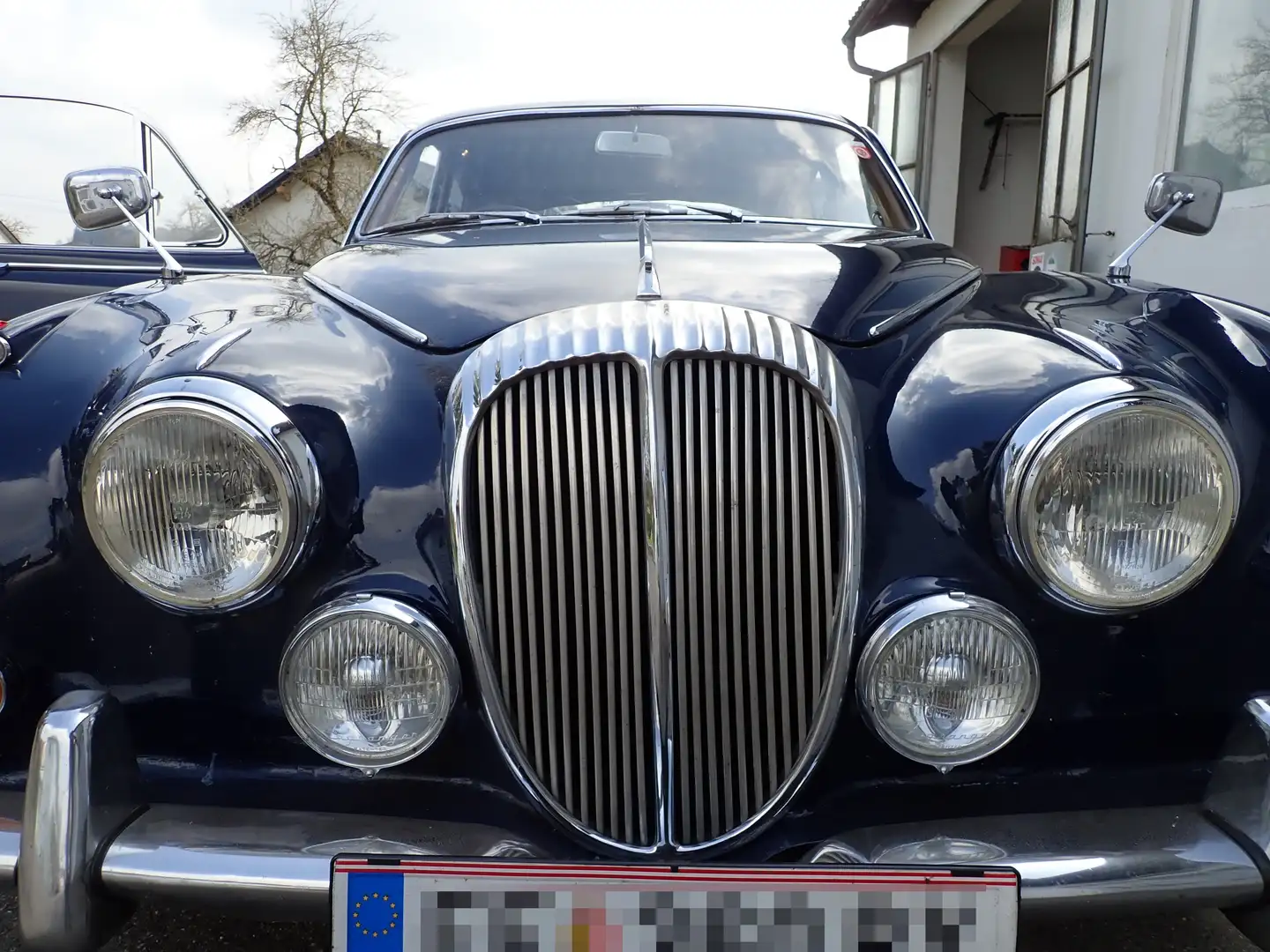 Jaguar Daimler 250 V8 / Serie 2 Blau - 1