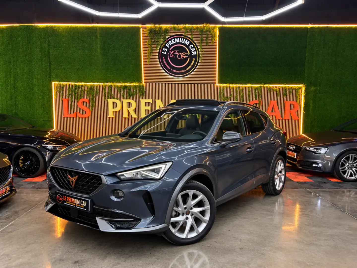 CUPRA Formentor 2.0 TDI 150 Gris - 1