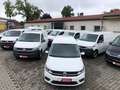 Volkswagen T6 Transporter Blanc - thumbnail 11