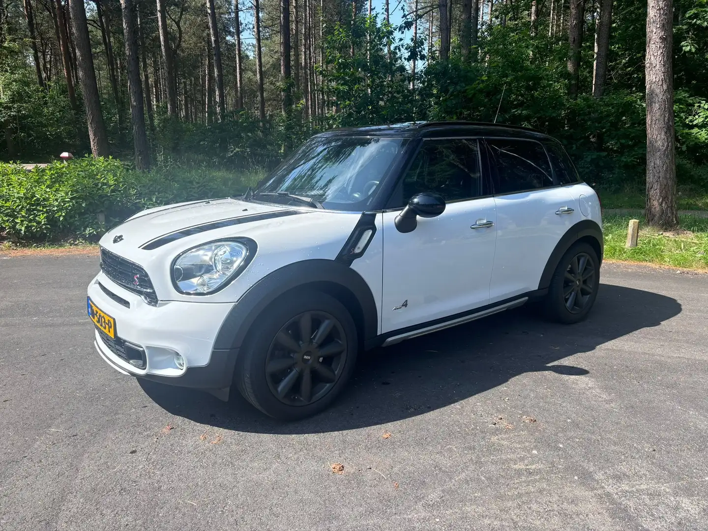 MINI Countryman S All4 Countryman S All4 1.6 Cpr Chili Wit - 1