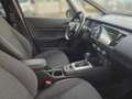 Honda Jazz 1.5 Hybrid Executive, Navi, Tempomat, Rückfahrkame Rosso - thumbnail 16