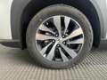 Suzuki SX4 S-Cross 1.4 ALLGRIP HYBRID TOP Bianco - thumbnail 5