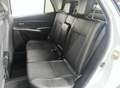 Suzuki SX4 S-Cross 1.4 ALLGRIP HYBRID TOP Bianco - thumbnail 11
