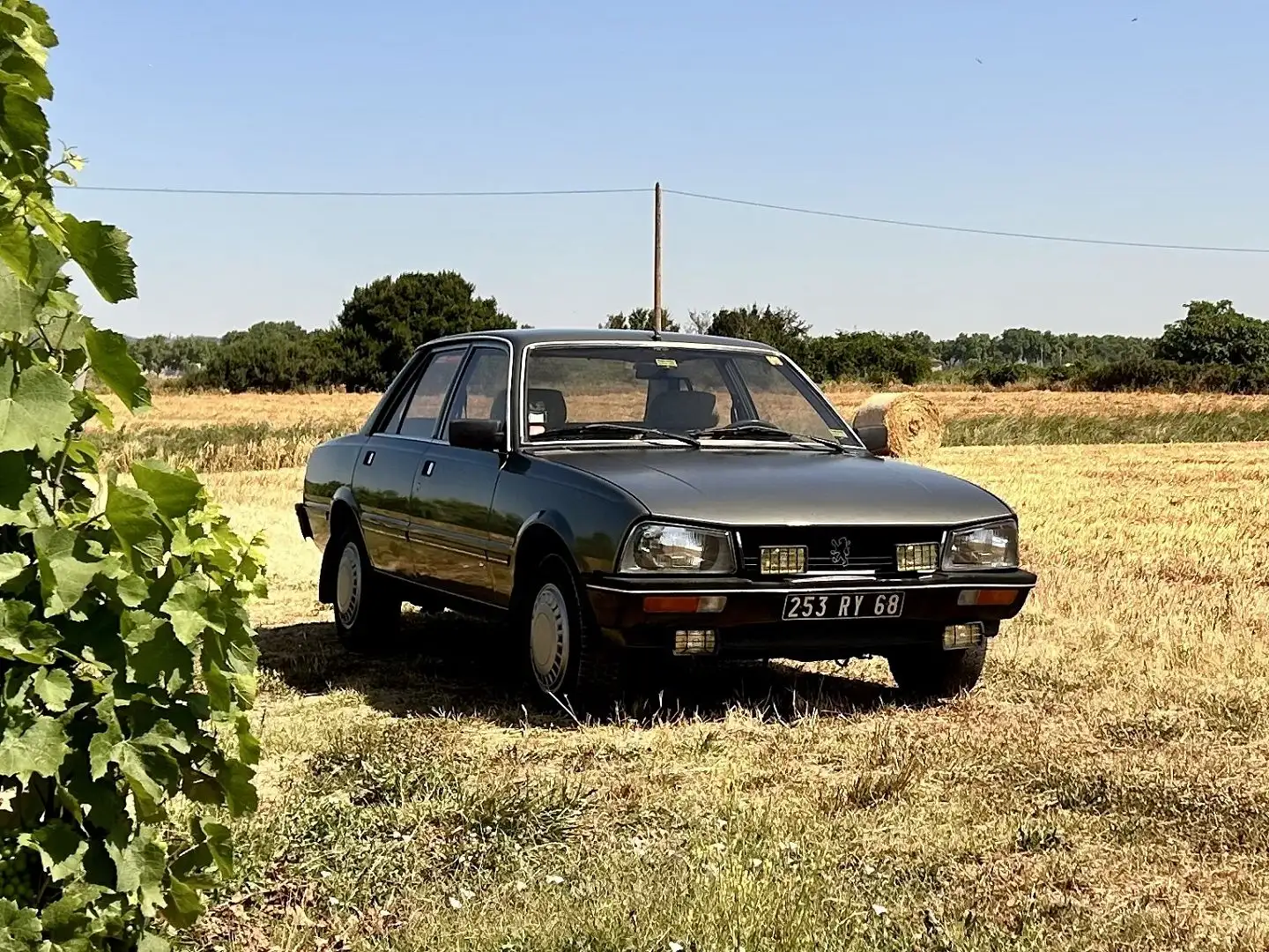 Peugeot 505 SR Groen - 2