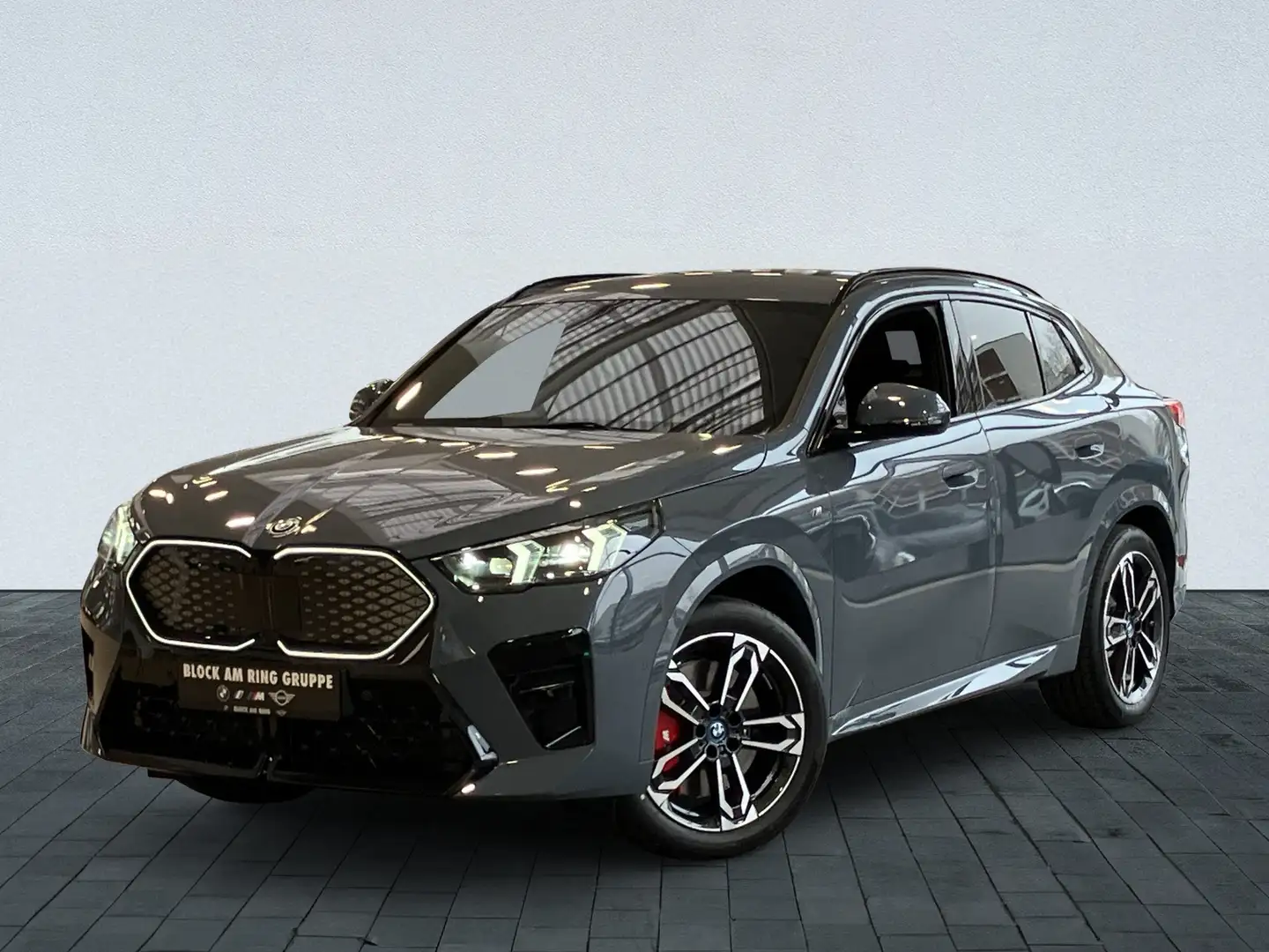 BMW iX2 EDRIVE20 M Sport Pro PA+ DA Prof. Memory HUD H/K Gri - 2