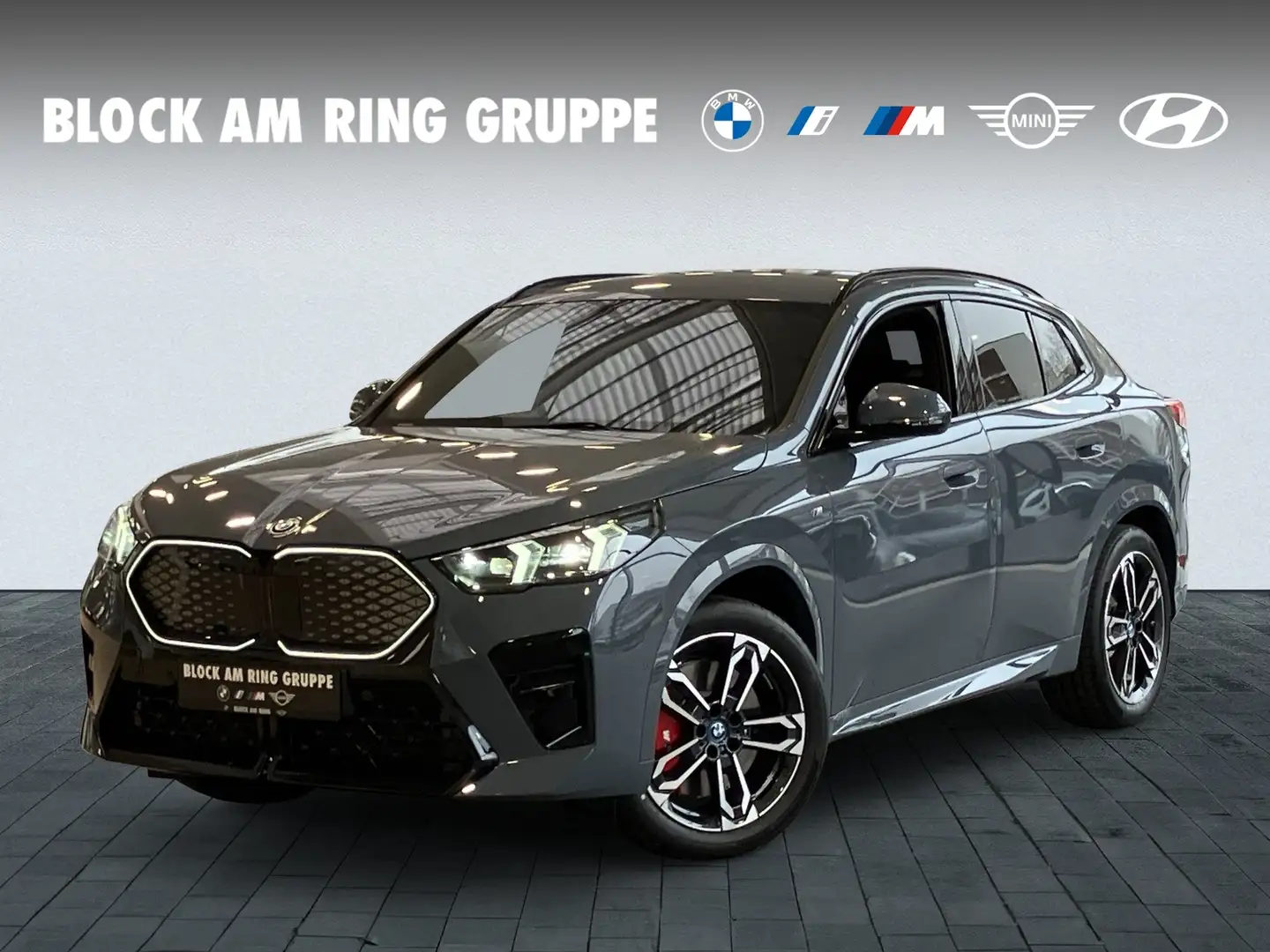 BMW iX2 EDRIVE20 M Sport Pro PA+ DA Prof. Memory HUD H/K Gri - 1