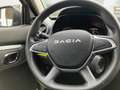 Dacia Spring Essential 45 Grau - thumbnail 9