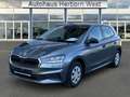 Skoda Fabia 1.0 TSI Essence LED Allwetterreifen Klima PDC hint Grau - thumbnail 1