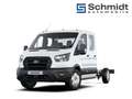 Ford Transit Pritsche Trend DK 350L4 2,0L Eblue 165PS M RWD Weiß - thumbnail 1