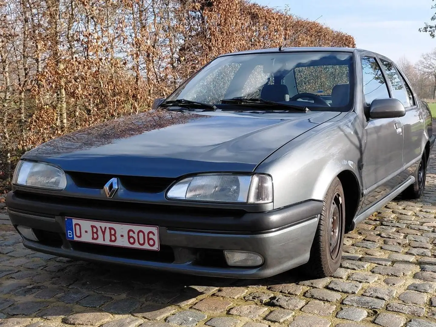 Renault R 19 Chamade Silber - 1