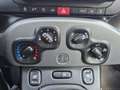 Fiat Panda 4x2 FireFly Hybrid 70 City Life Grün - thumbnail 16