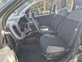 Fiat Panda 4x2 FireFly Hybrid 70 City Life Grün - thumbnail 10