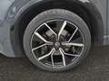 Volkswagen Tiguan R-Line 2,0 TSI DSG 4M+Pano+AHK+Matrix+ACC Grau - thumbnail 7