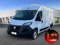 Fiat Ducato 33 MH2 2.2 Mjt3 140CV E6D-fin Bianco - thumbnail 1