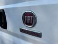 Fiat Ducato 33 MH2 2.2 Mjt3 140CV E6D-fin Bianco - thumbnail 22