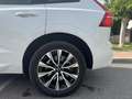 Volvo XC60 B4 Plus Dark FWD Aut. - thumbnail 7