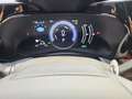 Lexus NX 450h+ Premium+ 4WD Gris - thumbnail 12