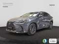 Lexus NX 450h+ Premium+ 4WD Gris - thumbnail 2