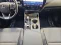 Lexus NX 450h+ Premium+ 4WD Gris - thumbnail 14