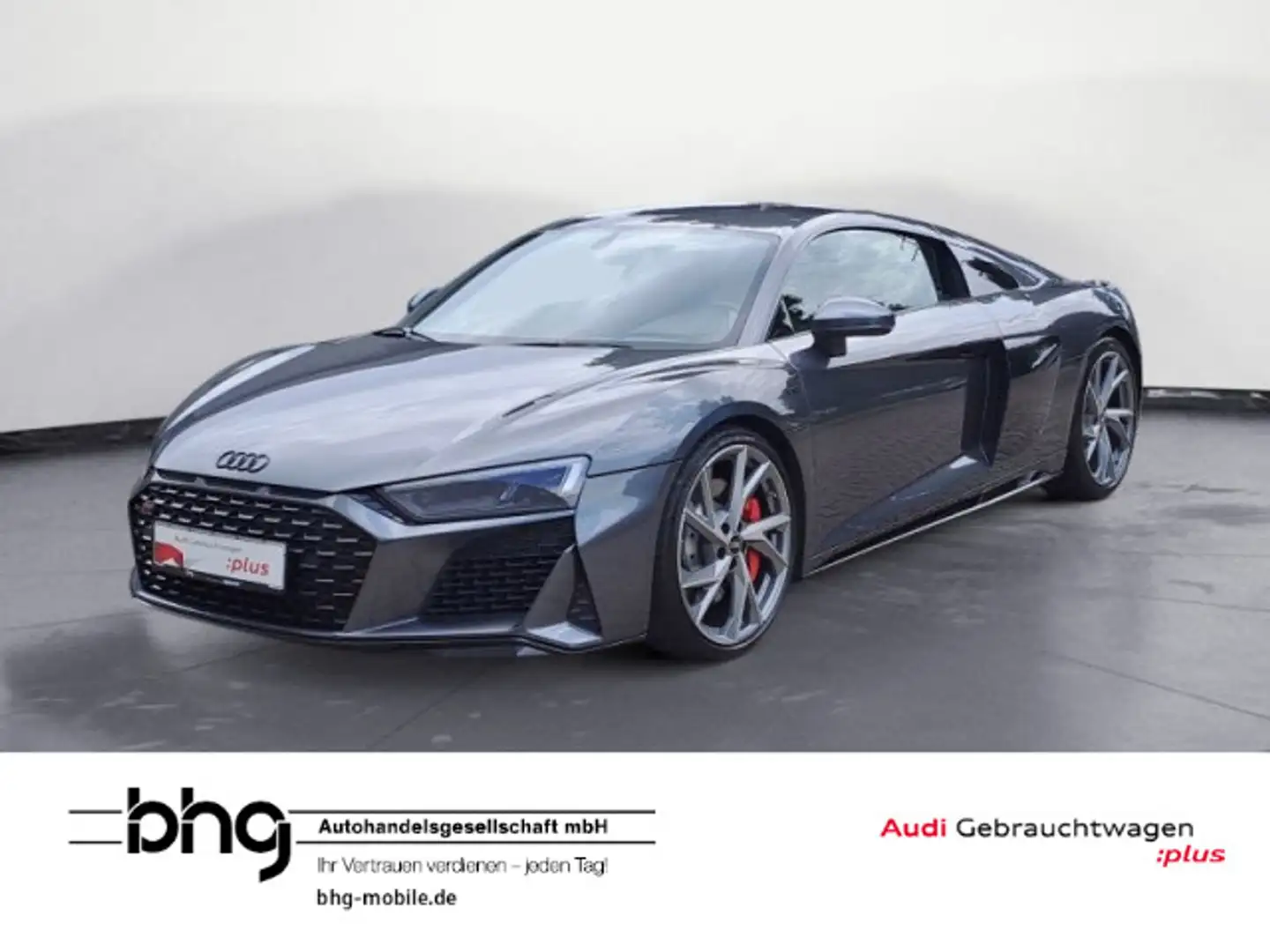 Audi R8 V10 5.2 FSI RWD S tronic *Karhu Edition*LED-L Grau - 1