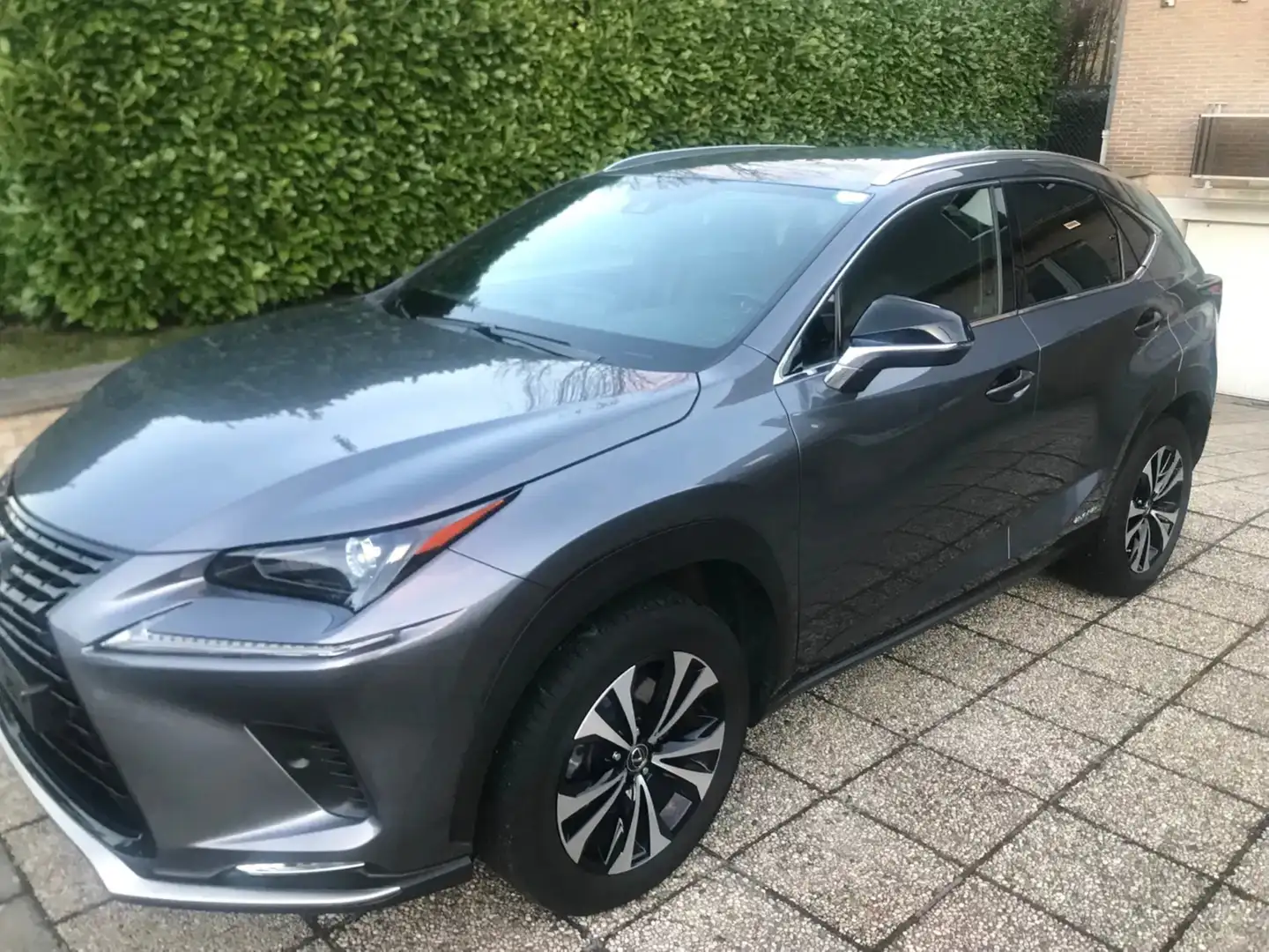 Lexus NX 300h NX 300h 2.5i FWD Black Line E-CVT (EU6.2) Grijs - 1