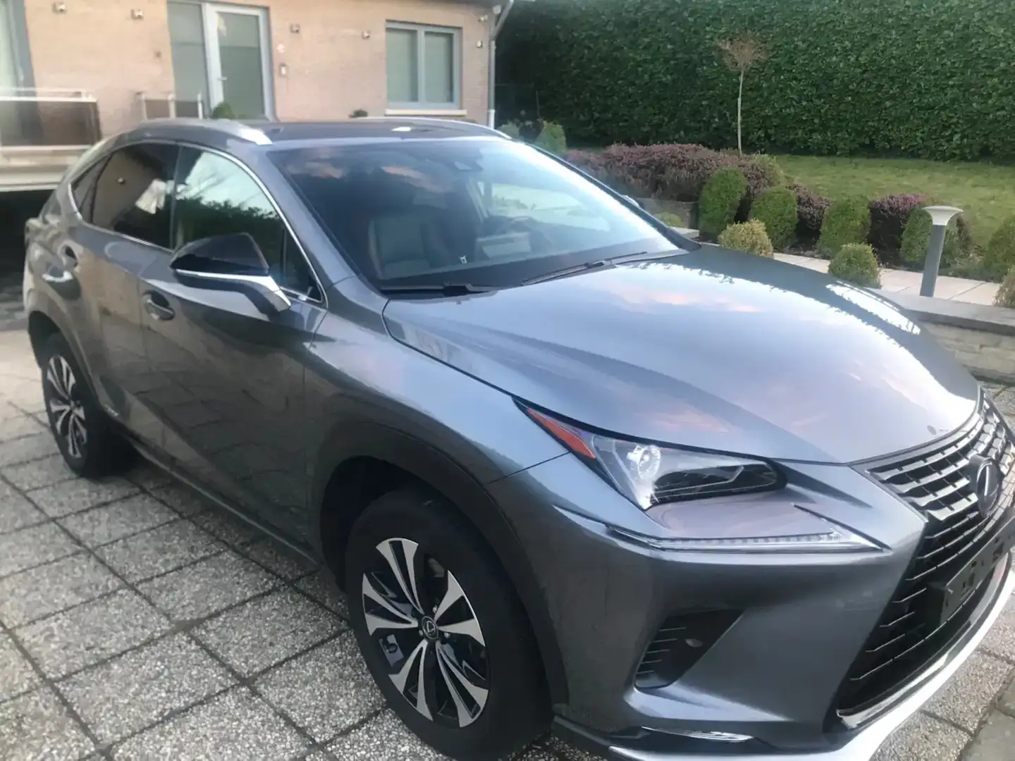 Lexus NX 300h NX 300h 2.5i FWD Black Line E-CVT (EU6.2) Grijs - 2