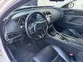 Jaguar XE 2.0d i4 R-Sport 180cv auto my18 Wit - thumbnail 9
