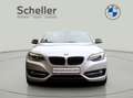 BMW 218 i Cabrio Sport Line *Verkauf nur an Händler* Grijs - thumbnail 2