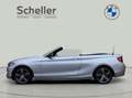 BMW 218 i Cabrio Sport Line *Verkauf nur an Händler* Grijs - thumbnail 4