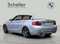 BMW 218 i Cabrio Sport Line *Verkauf nur an Händler* Grijs - thumbnail 5