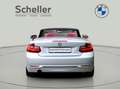 BMW 218 i Cabrio Sport Line *Verkauf nur an Händler* Grijs - thumbnail 6