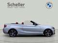 BMW 218 i Cabrio Sport Line *Verkauf nur an Händler* Grijs - thumbnail 8