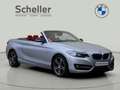 BMW 218 i Cabrio Sport Line *Verkauf nur an Händler* Grijs - thumbnail 9