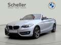 BMW 218 i Cabrio Sport Line *Verkauf nur an Händler* Grijs - thumbnail 1