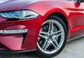Ford Mustang Convertible 5.0 Ti-VCT GT Aut. Rojo - thumbnail 6