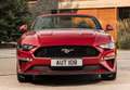 Ford Mustang Convertible 5.0 Ti-VCT GT Aut. Rojo - thumbnail 3