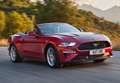 Ford Mustang Convertible 5.0 Ti-VCT GT Aut. Rojo - thumbnail 12