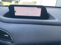 Mazda CX-30 SKYACTIV-G 2.0 122PS 6GS SELECTION Grau - thumbnail 12