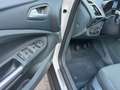 Ford C-Max Weiß - thumbnail 17