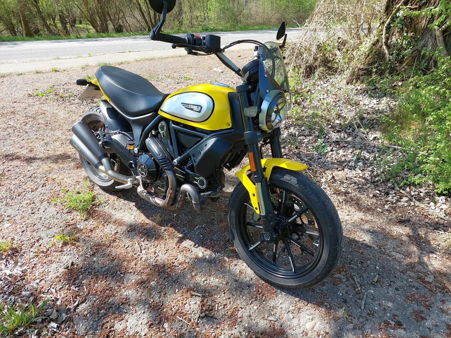 Ducati Scrambler 800 Icon Gelb - 2