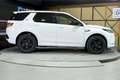 Land Rover Discovery Sport 2.0D TD4 MHEV R-Dynamic S AWD Auto 163 - thumbnail 20