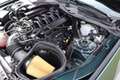 Ford Mustang Fastback Bullitt 5.0 V8 - MagneRide, Recaro, B&O Grün - thumbnail 46