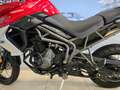 Triumph Tiger 800 "XCA" - Km 2300 - thumbnail 7