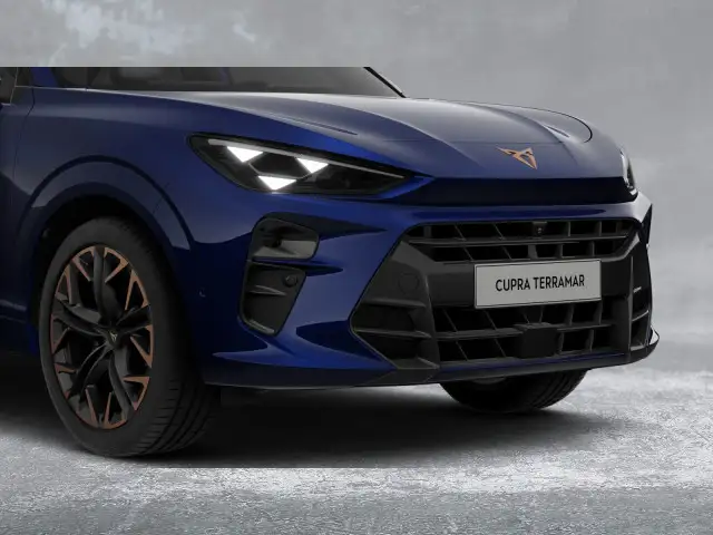 Cupra Terramar view 8